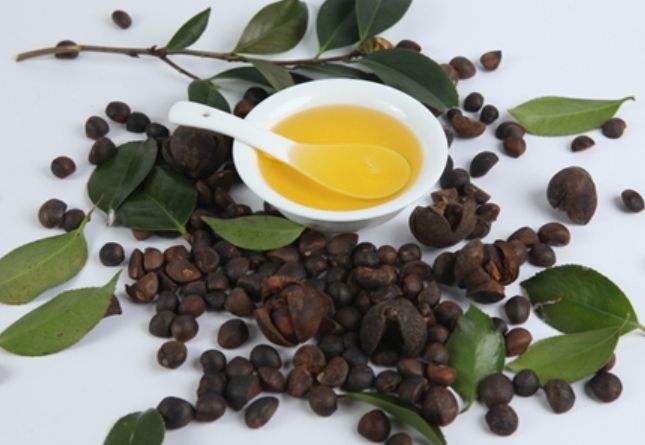 Comparative Study Report on Camellia oleifera Oil and Camellia japonica Oil