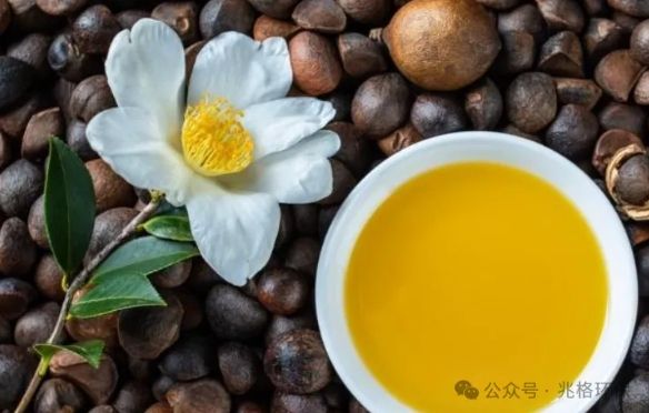 Camellia Oil 1.png