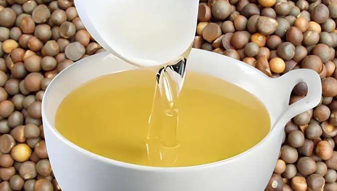 油茶籽4.jpg