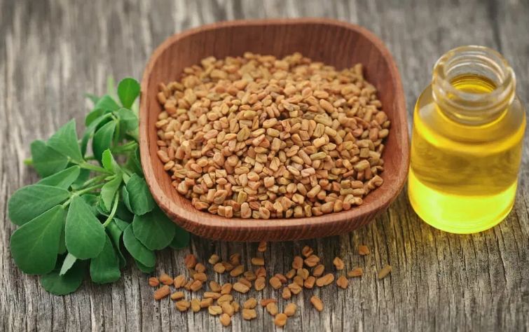 Fenugreek Seed Oil Press | Comparison of the Advantages and Disadvantages of Hydraulic Oil Press and Screw Oil Press