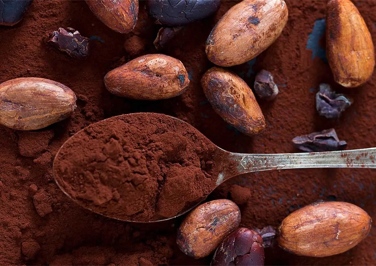 Cocoa Powder Production 
