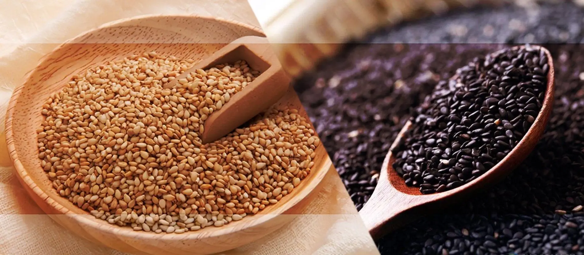 Sesame Oil Press Line
