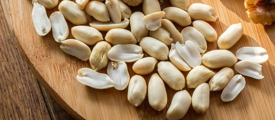 Peanut Powder Production 