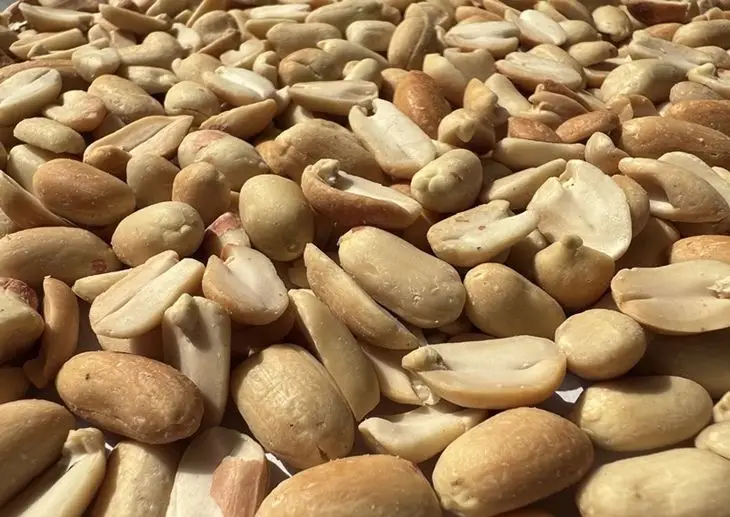 Peanut Powder Production 