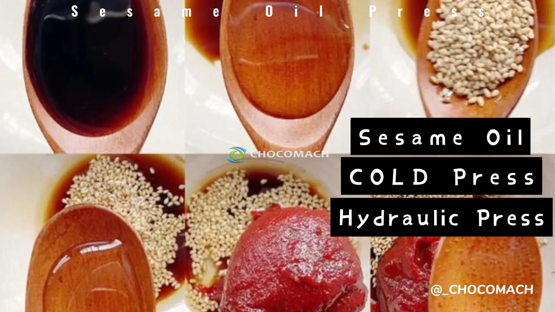 How to make sesame oil?Choose the oil press machine by CHOCOMACH.