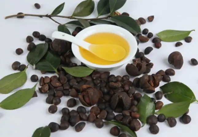 Comparative Study Report on Camellia oleifera Oil and Camellia japonica Oil