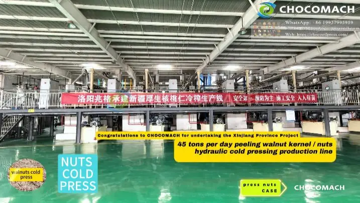 YZW45-12 Walnuts Oil Production Customer Site|Nuts Oil Production Line|Nuts Oil Making|Oil Cold Press Machine