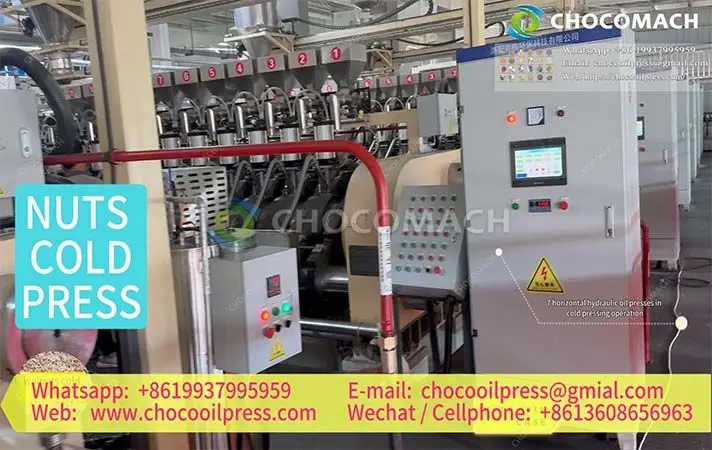 YZW45-12 Nut Oil Press Production Customer Site（walnuts cold-press）