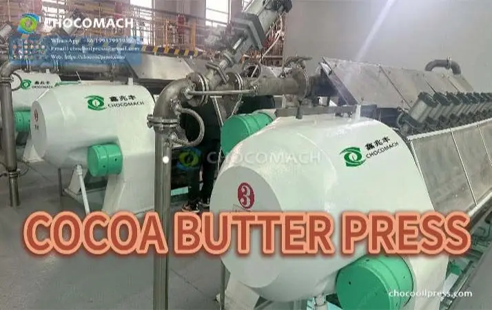 Technical renovation project for a large cocoa bean processing plant with low fat cocoa butter