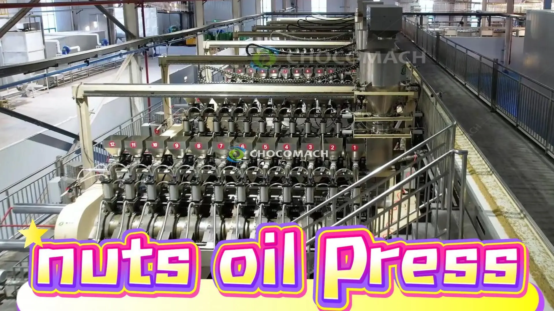 nut oil press_7 sets of walnut processing production lines were put into production