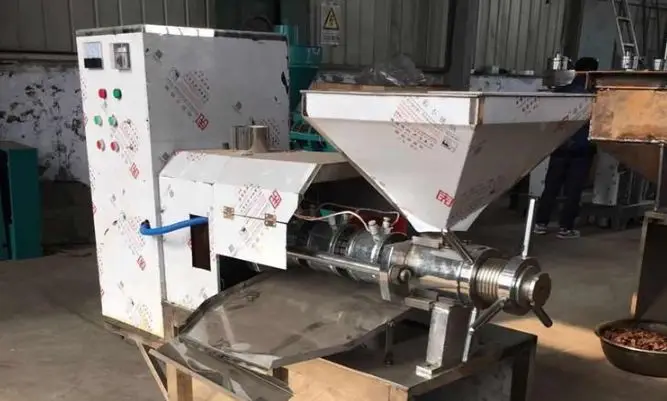 Hydraulic vs Screw Oil Press for Sesame: Which One Delivers Better Oil Yield & Quality?