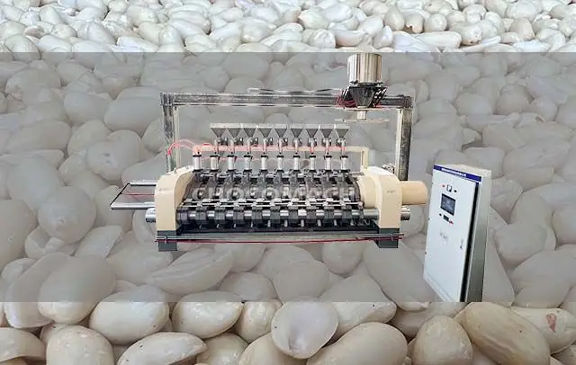 peanut butter press | hydraulic oil press
