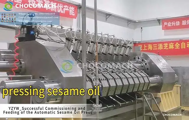 sesame oil press | hydraulic oil press