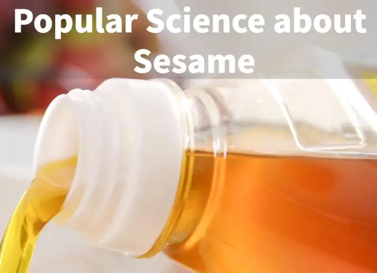 Popular Science about Sesame（Hydraulic sesame oil press）